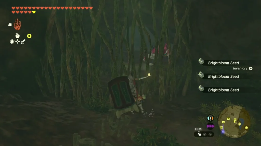 Dark cavern filled with hanging vines and Brightbloom Seeds on the bank Dark cavern filled with hanging vines and Brightbloom Seeds on the bank