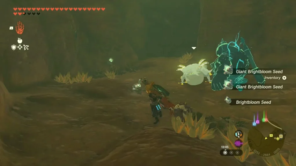 Giant Brightbloom Seed pick-ups along the cave passage