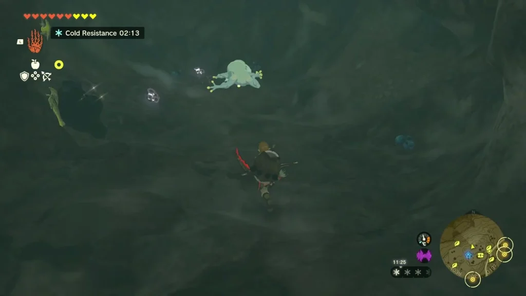 Bubbulfrog leaping across the cave