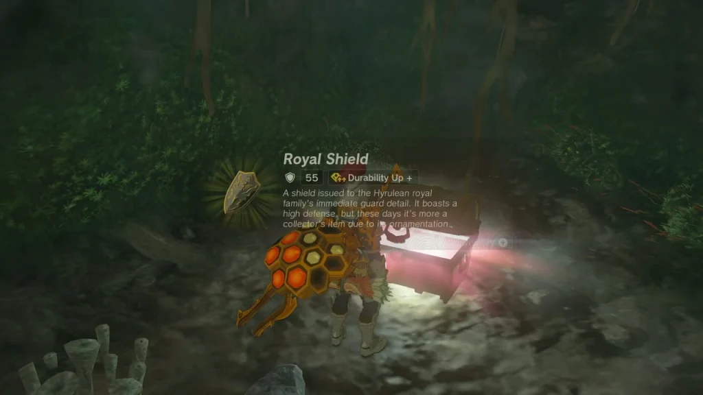 Opened chest in the cave with a Royal Shield item box Opened chest in the cave with a Royal Shield item box