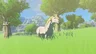 White Horse