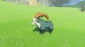 Mountain Goat