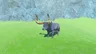 Water Buffalo