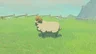 Highland Sheep