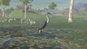 Blue-Winged Heron