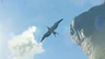 Seagull