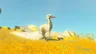 Forest Ostrich
