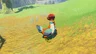 Cucco
