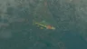 Voltfin Trout