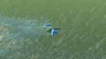 Cold Darner