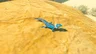 Hearty Lizard