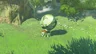 Forest Octorok