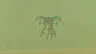 Moth Gibdo