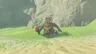 Black Boss Bokoblin