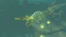 Farosh