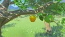 Golden Apple