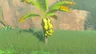 Mighty Bananas