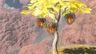 Fire Fruit