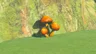 Sunshroom