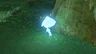 Silent Shroom