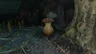Puffshroom