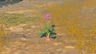 Hearty Radish