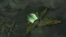 Giant Brightbloom Seed