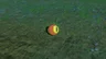 Keese Eyeball