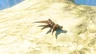 Lynel Mace Horn