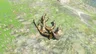 Silver Lynel Mace Horn