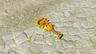 Soldier Construct IV Horn