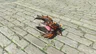 Gleeok Flame Horn