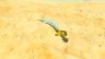 Scimitar of the Seven