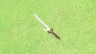 Eightfold Blade✨