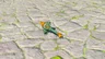 Strong Zonaite Sword