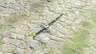 Soldier's Claymore