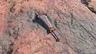 Boulder Breaker