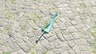 Fierce Deity Sword