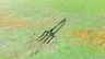 Farmer's Pitchfork