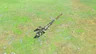 Soldier's Spear