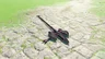Royal Guard's Spear✨