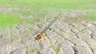 Zonaite Spear