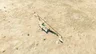 Strengthened Lizal Bow