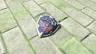 Hylian Shield