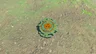 Strong Zonaite Shield