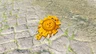 Mighty Zonaite Shield