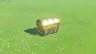 Treasure Chest