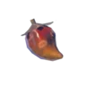 Charred Pepper