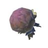 Roasted Armoranth