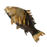 Roasted Carp